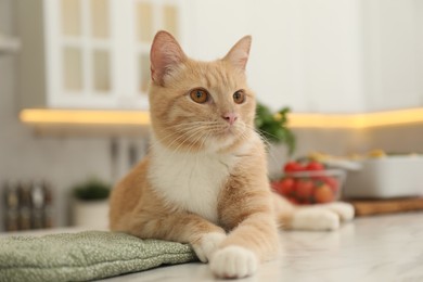 Photo of Cute ginger cat relaxing on white table at home