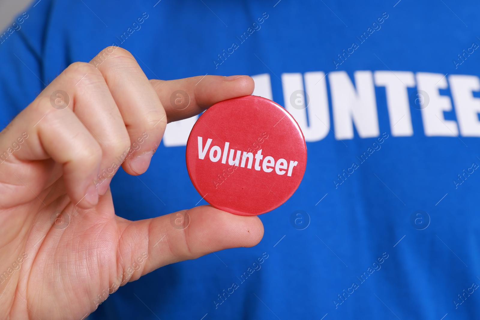 Photo of Man holding button badge with word Volunteer on grey background, closeup