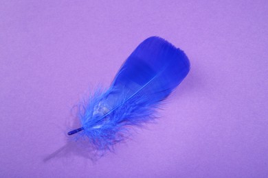 Fluffy blue feather on purple background, top view