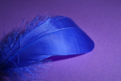 Photo of Fluffy blue feather on purple background, closeup