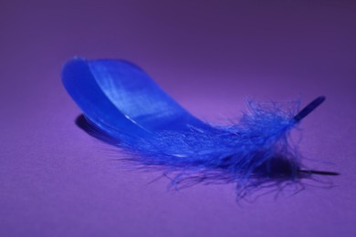 Photo of Fluffy blue feather on purple background, closeup