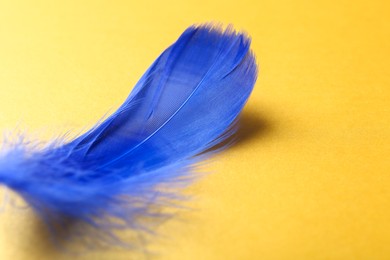 Fluffy blue feather on yellow background, closeup. Space for text