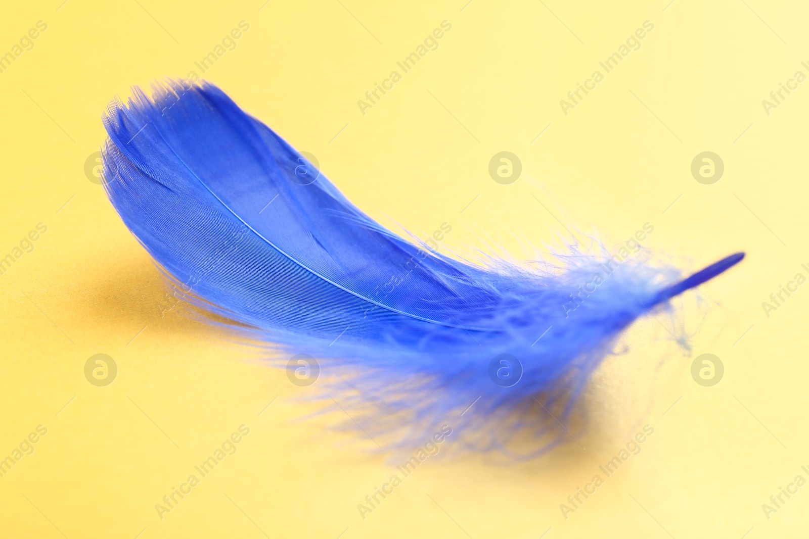 Photo of Fluffy blue feather on yellow background, closeup