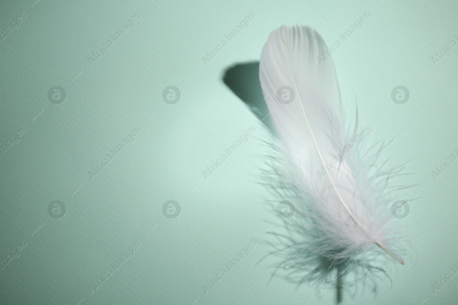 Photo of Fluffy white feather on light turquoise background, top view. Space for text