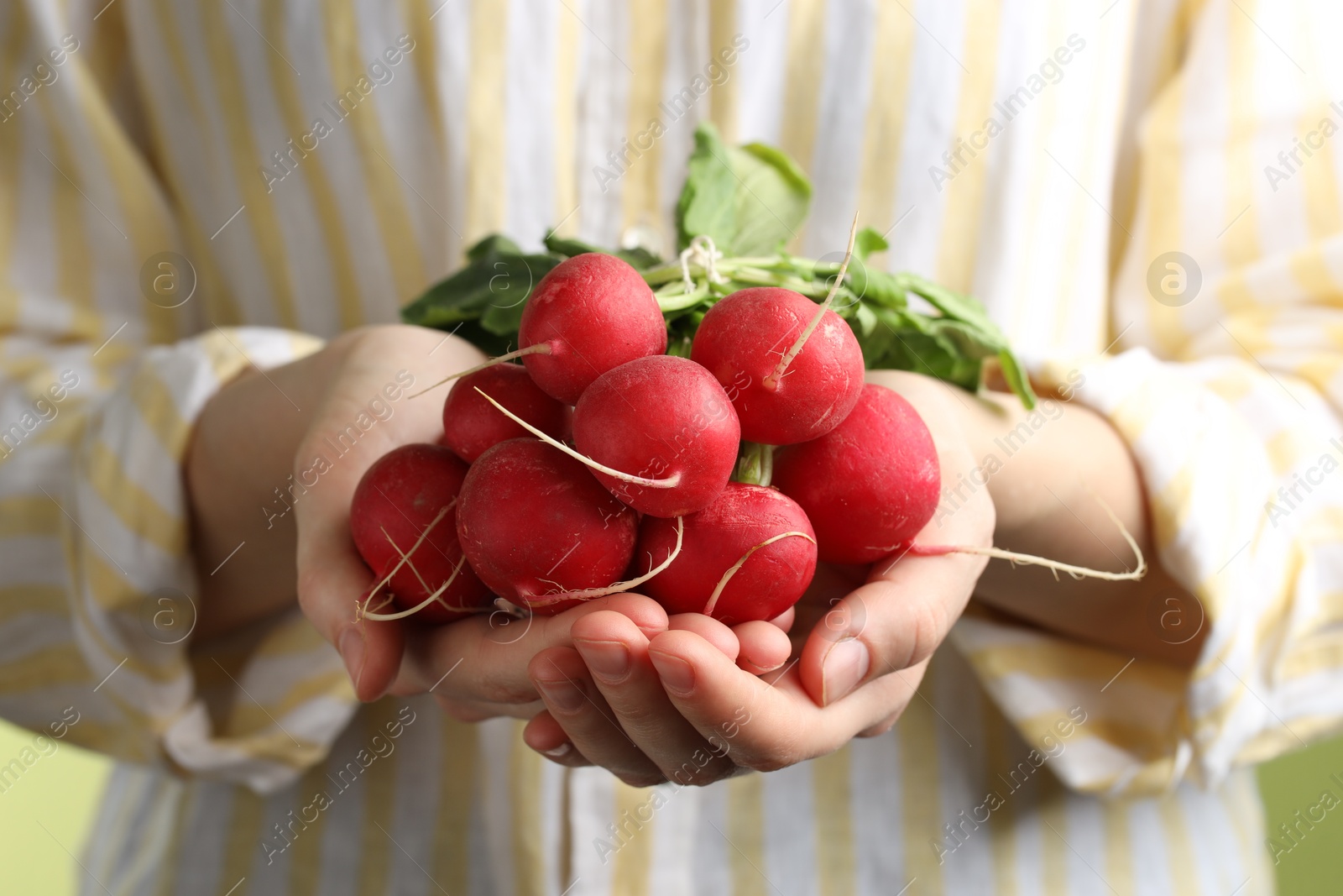 Woman with bunch of fresh radishes on green background, closeup Photo of Woman with bunch of fresh radishes on green background, closeup
