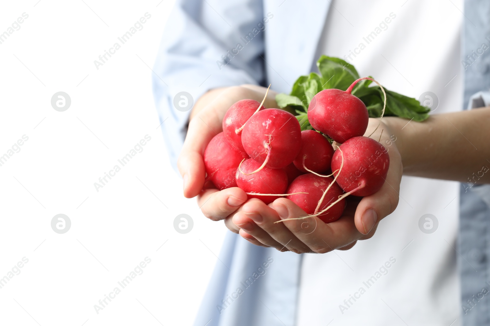 Woman with bunch of fresh radishes on white background, closeup. Space for text Photo of Woman with bunch of fresh radishes on white background, closeup. Space for text