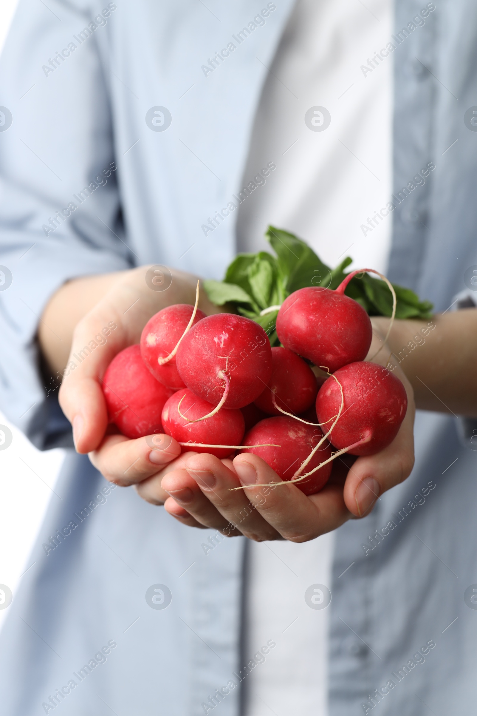 Woman with bunch of fresh radishes, closeup Photo of Woman with bunch of fresh radishes, closeup