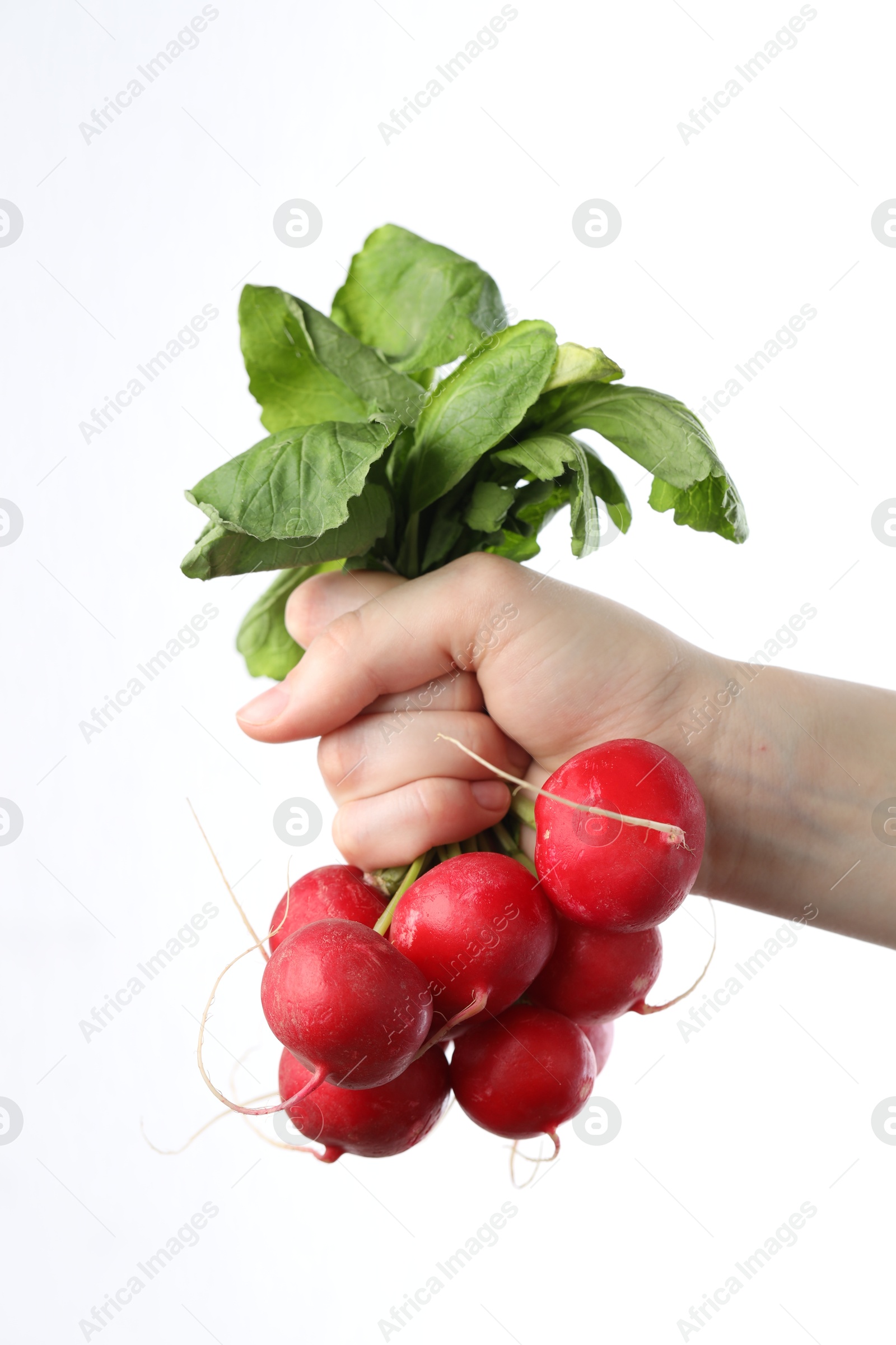 Woman with bunch of fresh radishes on white background, closeup Photo of Woman with bunch of fresh radishes on white background, closeup