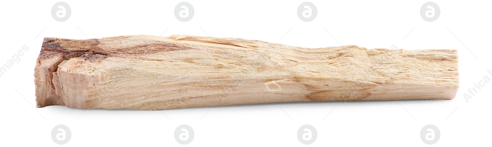 Photo of One palo santo stick on white background