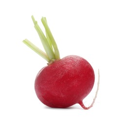 Photo of One fresh ripe radish isolated on white