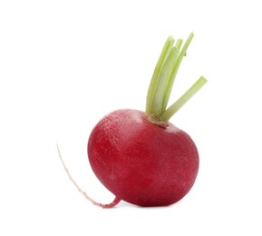 Photo of One fresh ripe radish isolated on white