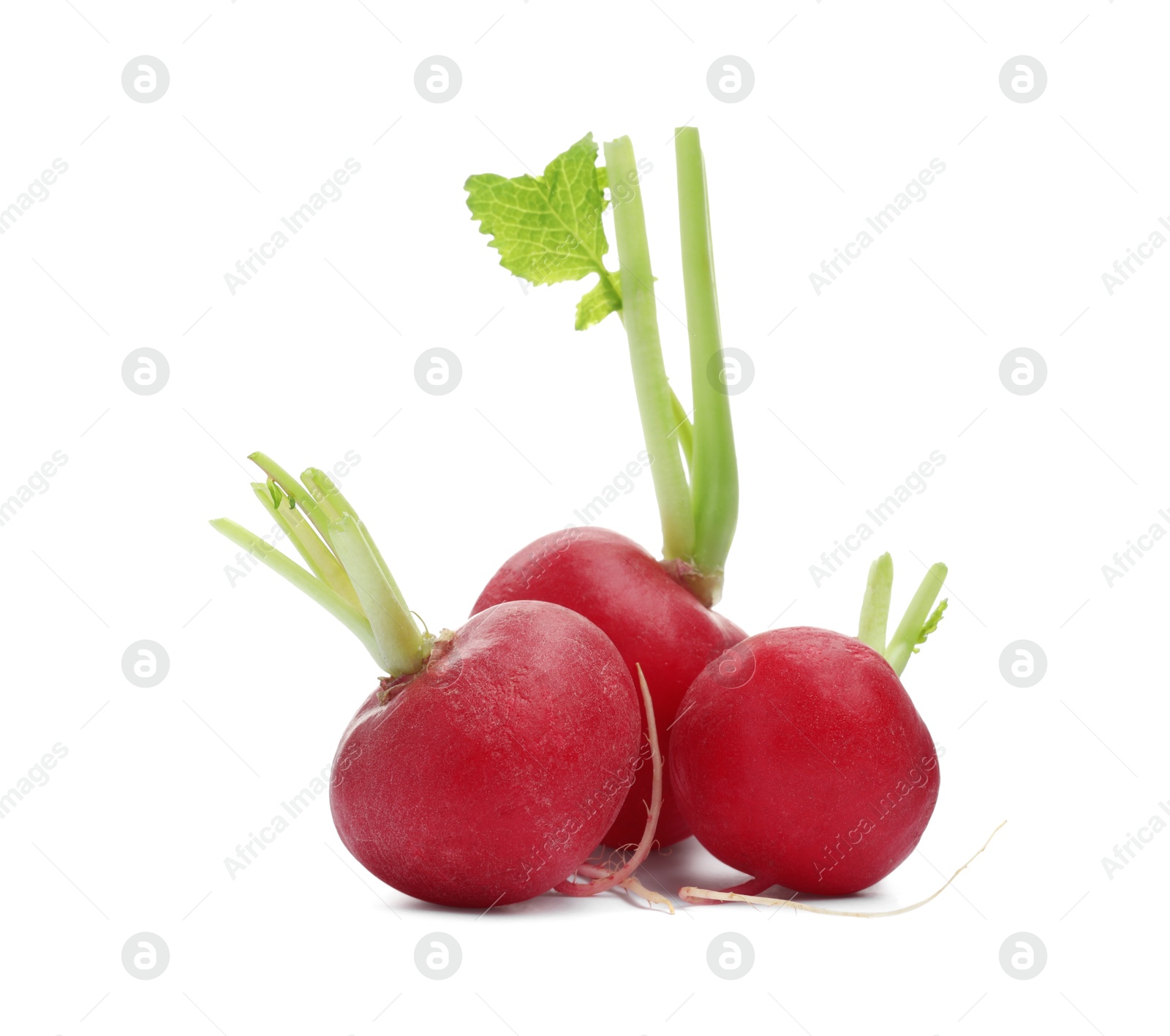 Photo of Three fresh ripe radishes isolated on white