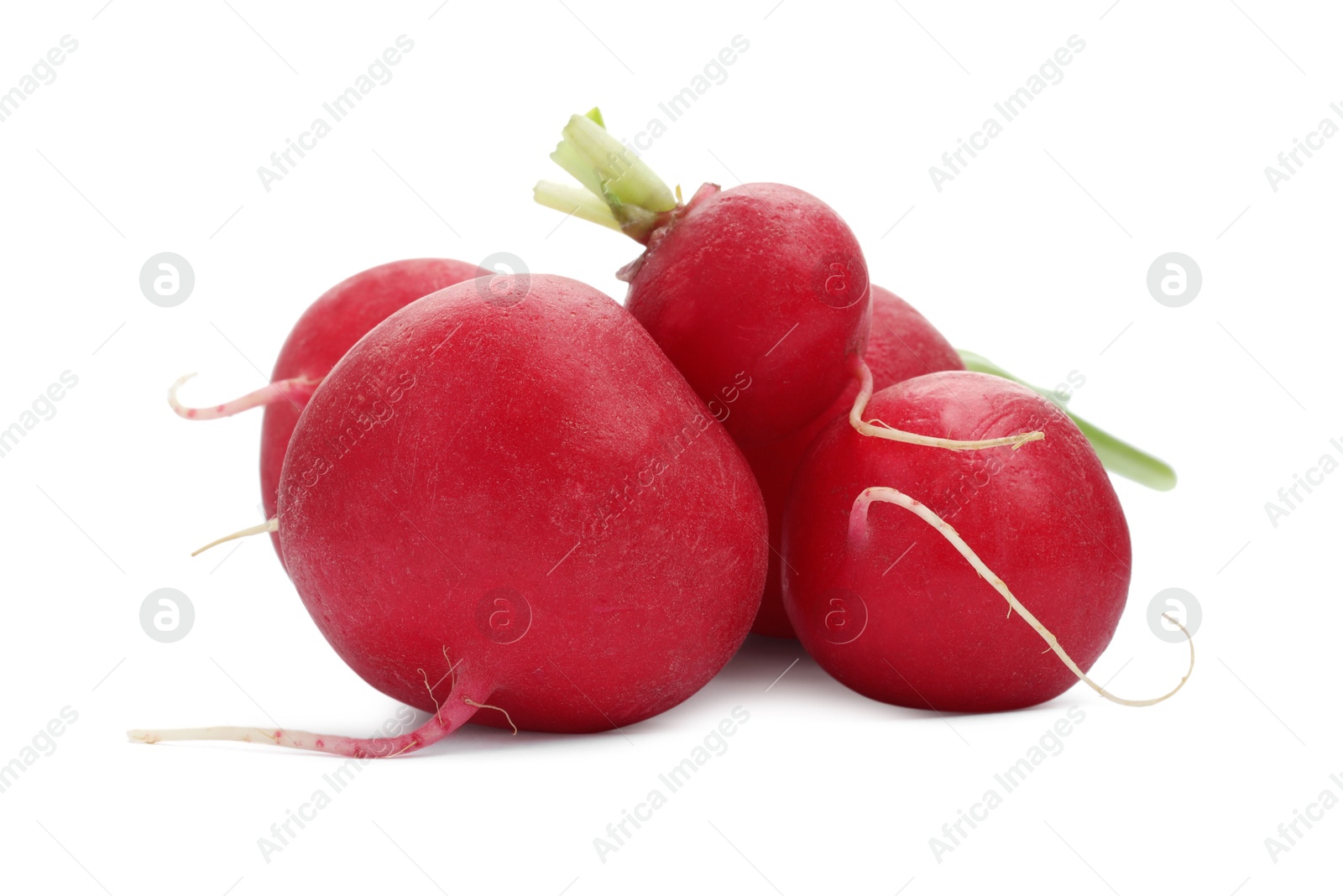 Photo of Many fresh ripe radishes isolated on white