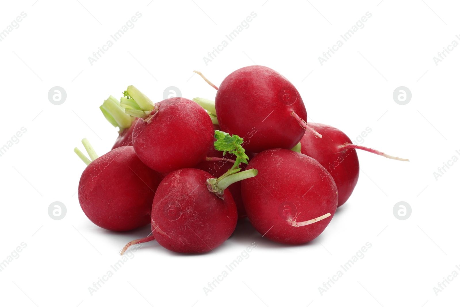 Photo of Many fresh ripe radishes isolated on white