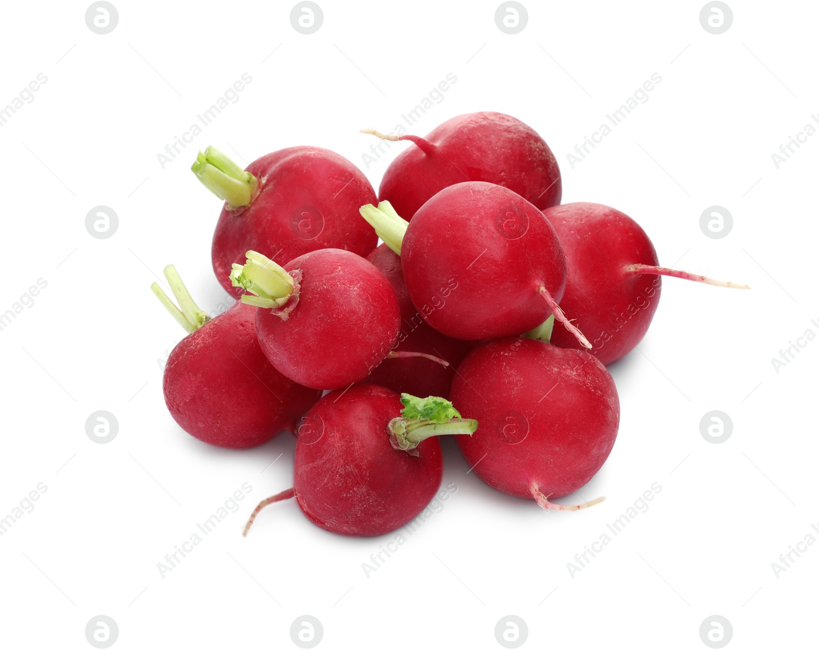 Photo of Many fresh ripe radishes isolated on white