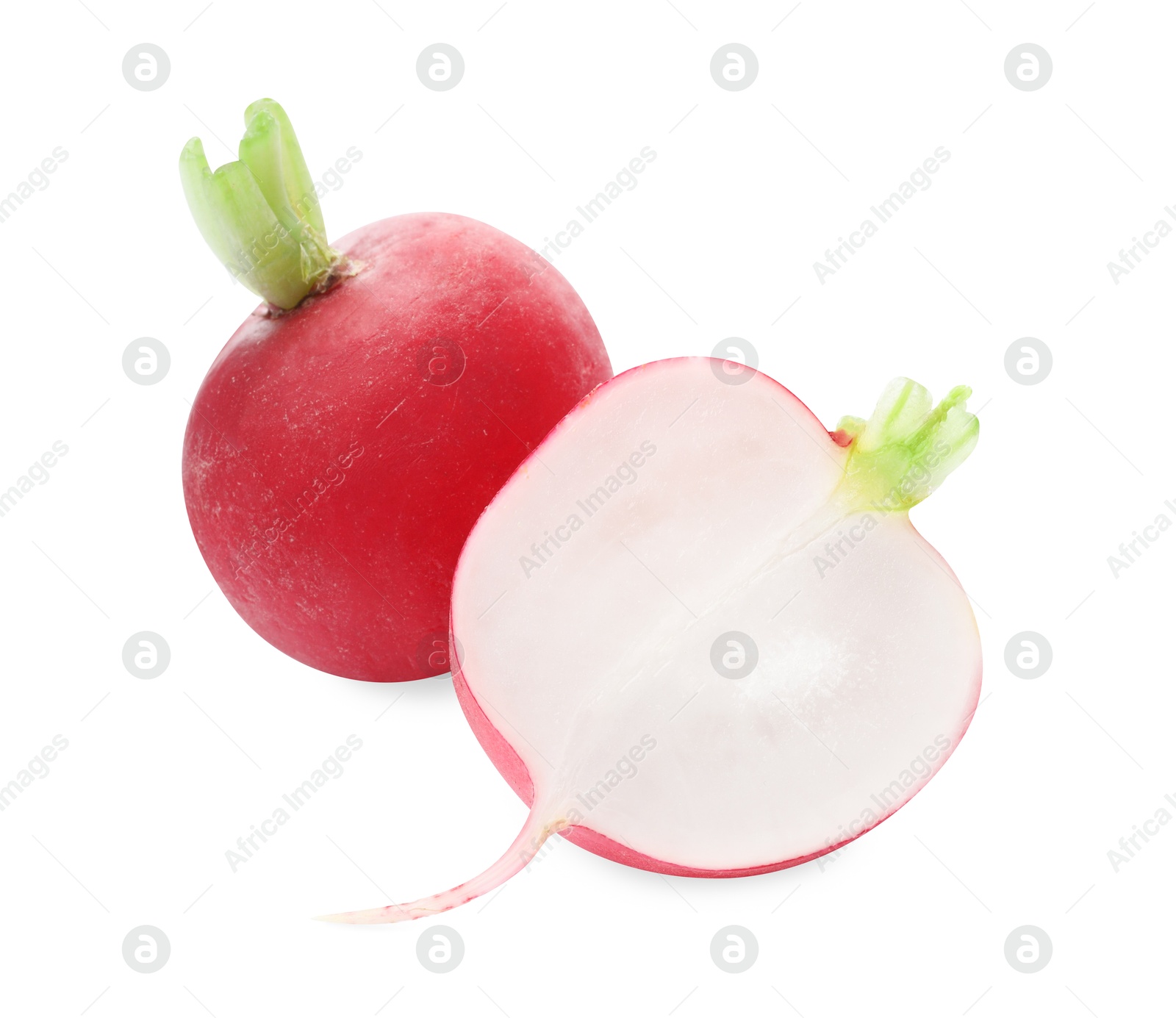 Photo of Whole and cut radishes isolated on white