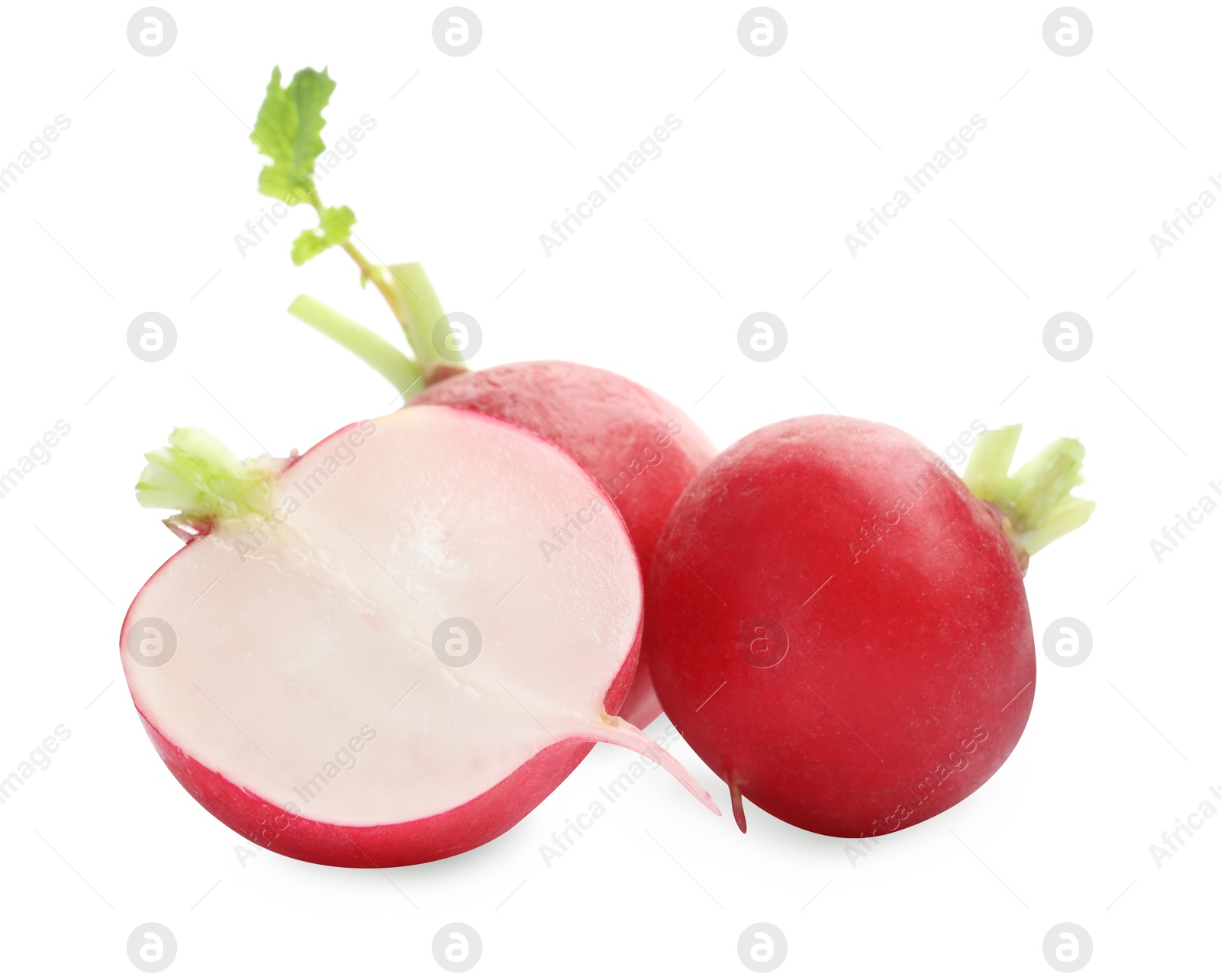 Photo of Whole and cut radishes isolated on white