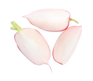 Photo of Pieces of fresh radish isolated on white, top view