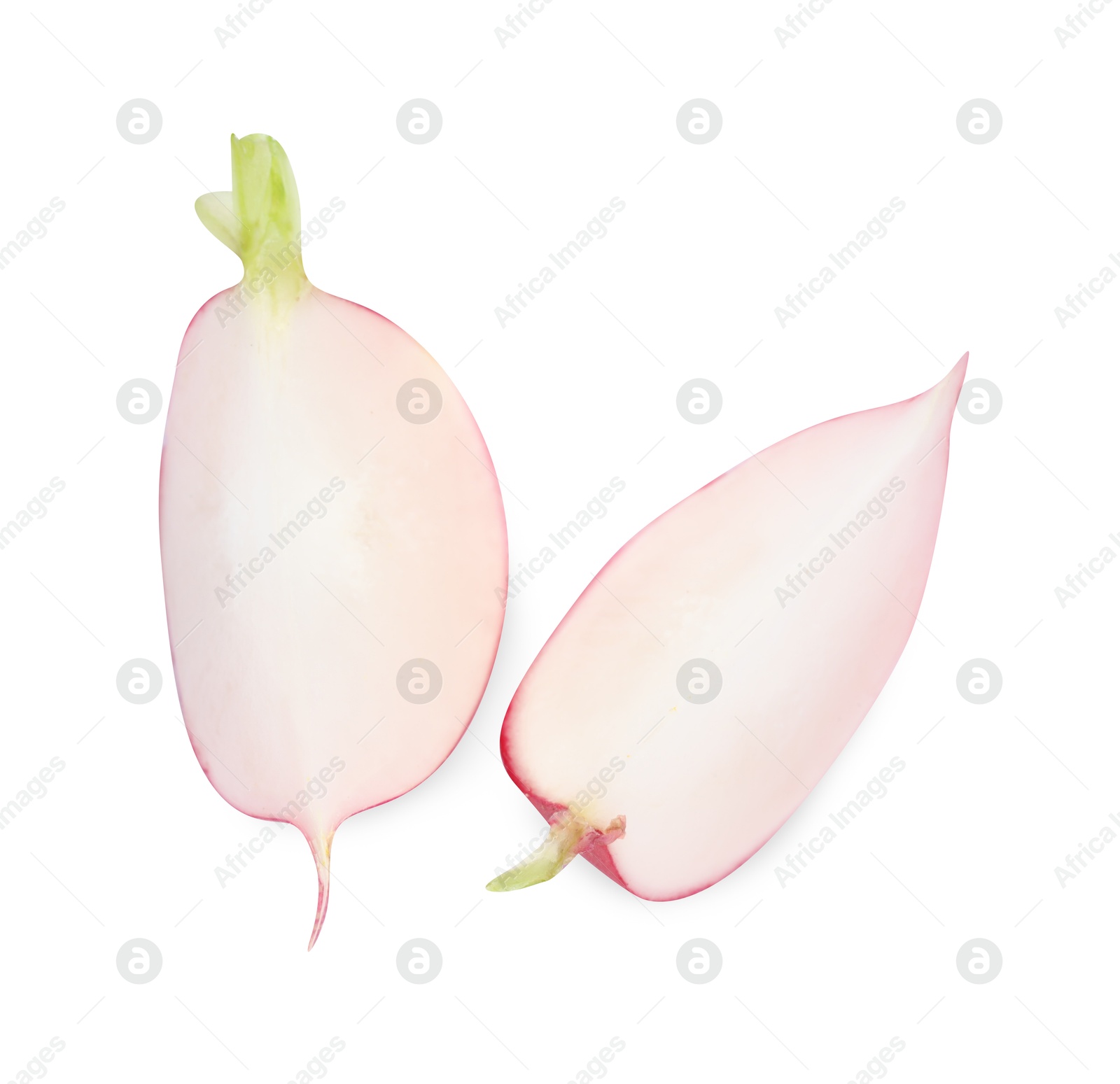 Photo of Pieces of fresh radish isolated on white, top view