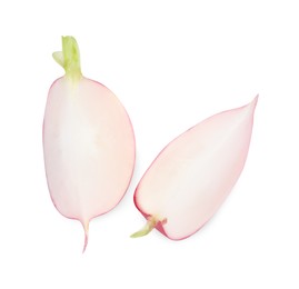 Photo of Pieces of fresh radish isolated on white, top view