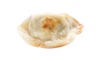 Photo of One fried gyoza dumpling isolated on white