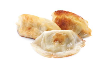 Delicious fried gyoza dumplings isolated on white