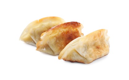 Delicious fried gyoza dumplings isolated on white