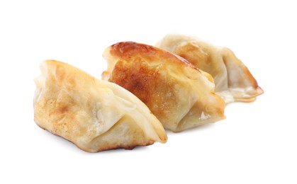 Delicious fried gyoza dumplings isolated on white