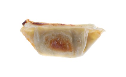 Photo of One fried gyoza dumpling isolated on white