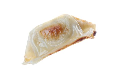 Photo of One fried gyoza dumpling isolated on white