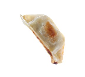 Photo of One fried gyoza dumpling isolated on white