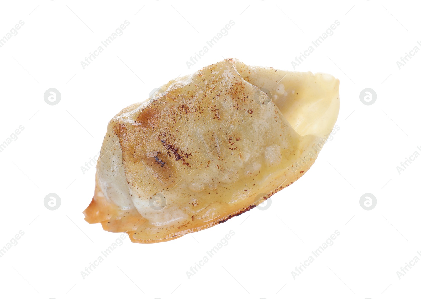 Photo of One fried gyoza dumpling isolated on white