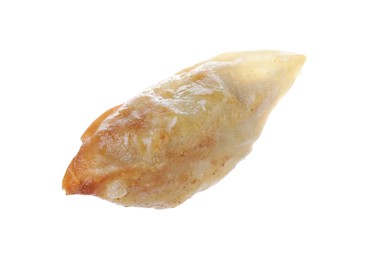 Photo of One fried gyoza dumpling isolated on white