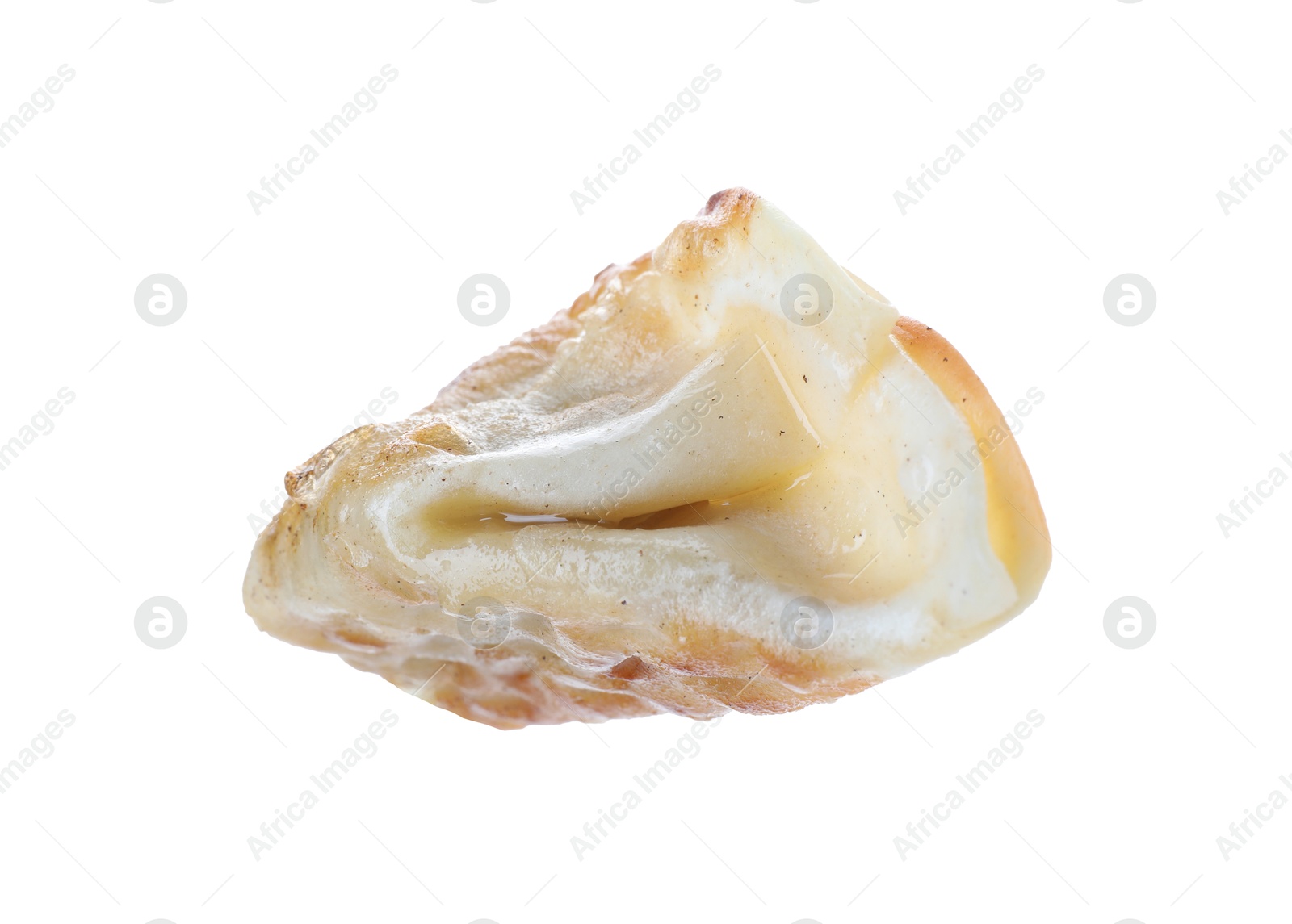 Photo of One fried gyoza dumpling isolated on white