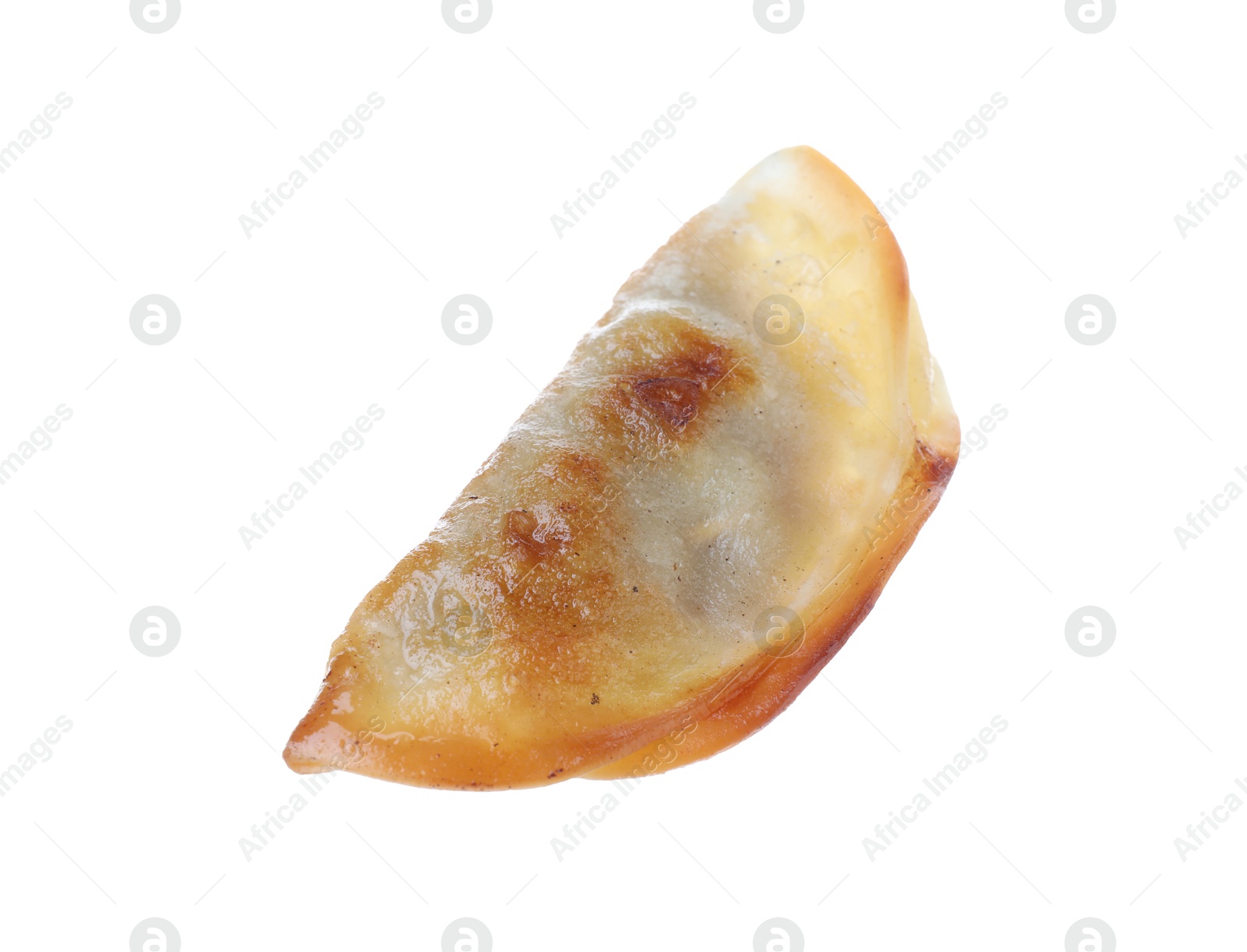 Photo of One fried gyoza dumpling isolated on white