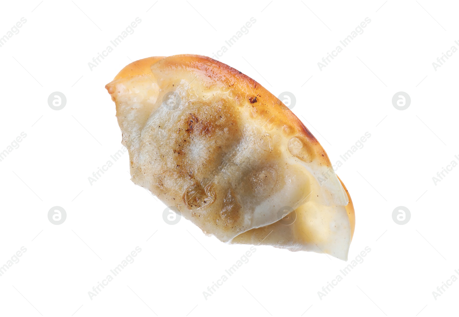 Photo of One fried gyoza dumpling isolated on white