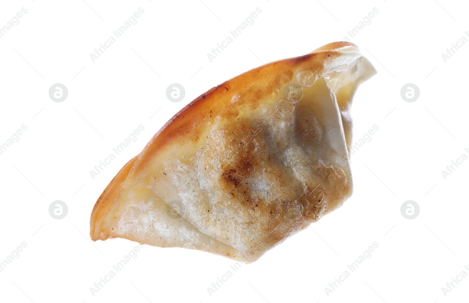 Photo of One fried gyoza dumpling isolated on white