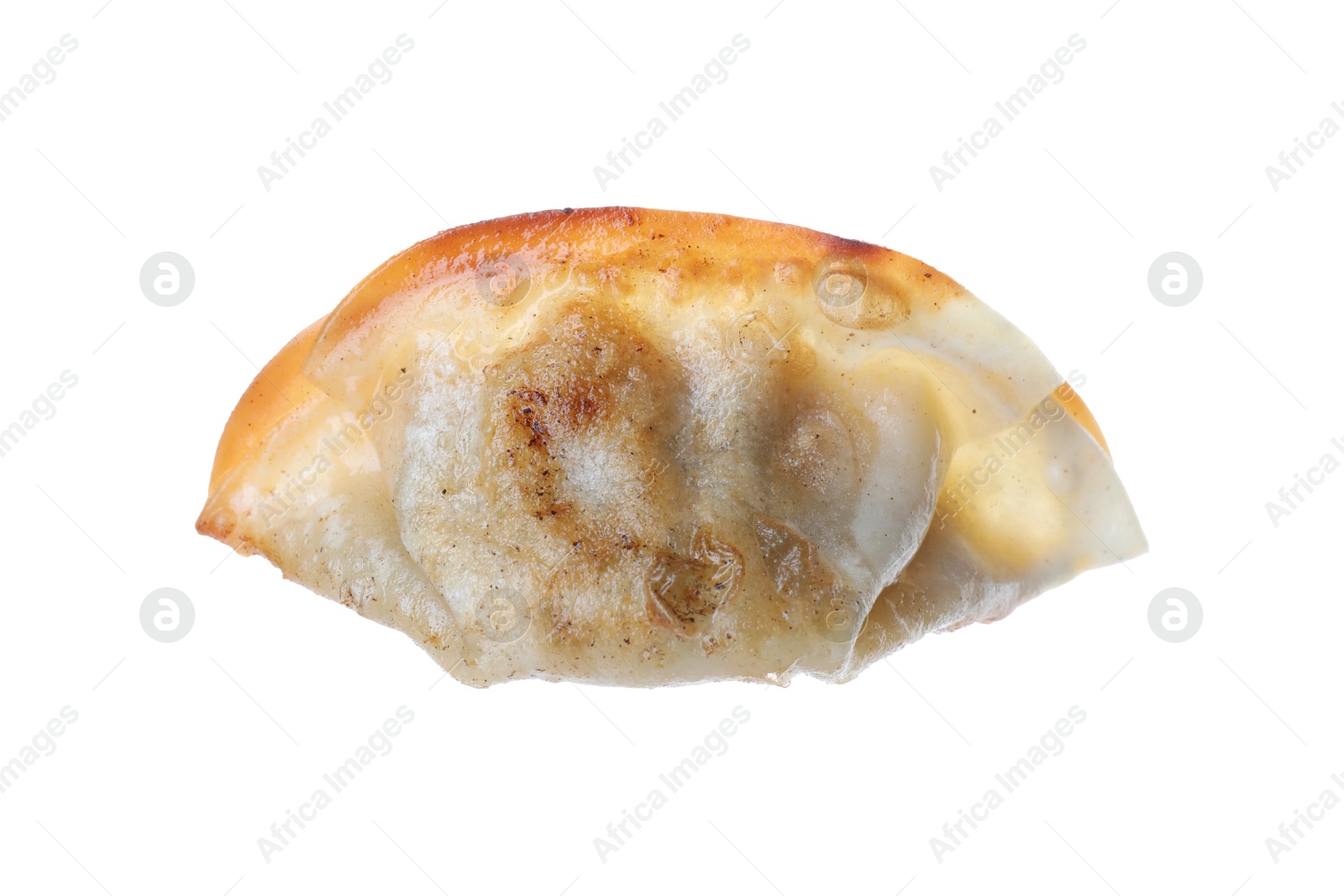 Photo of One fried gyoza dumpling isolated on white