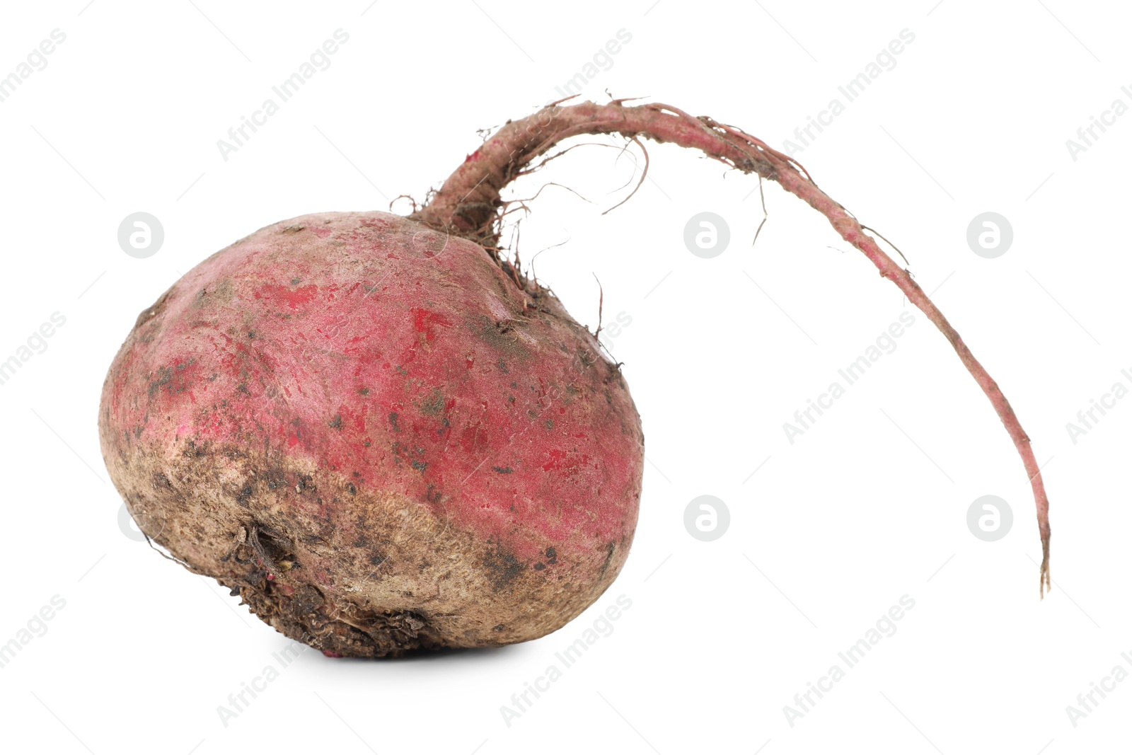 Photo of One fresh ripe beetroot isolated on white