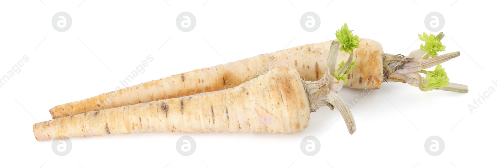 Photo of Fresh parsnips isolated on white. Root vegetable