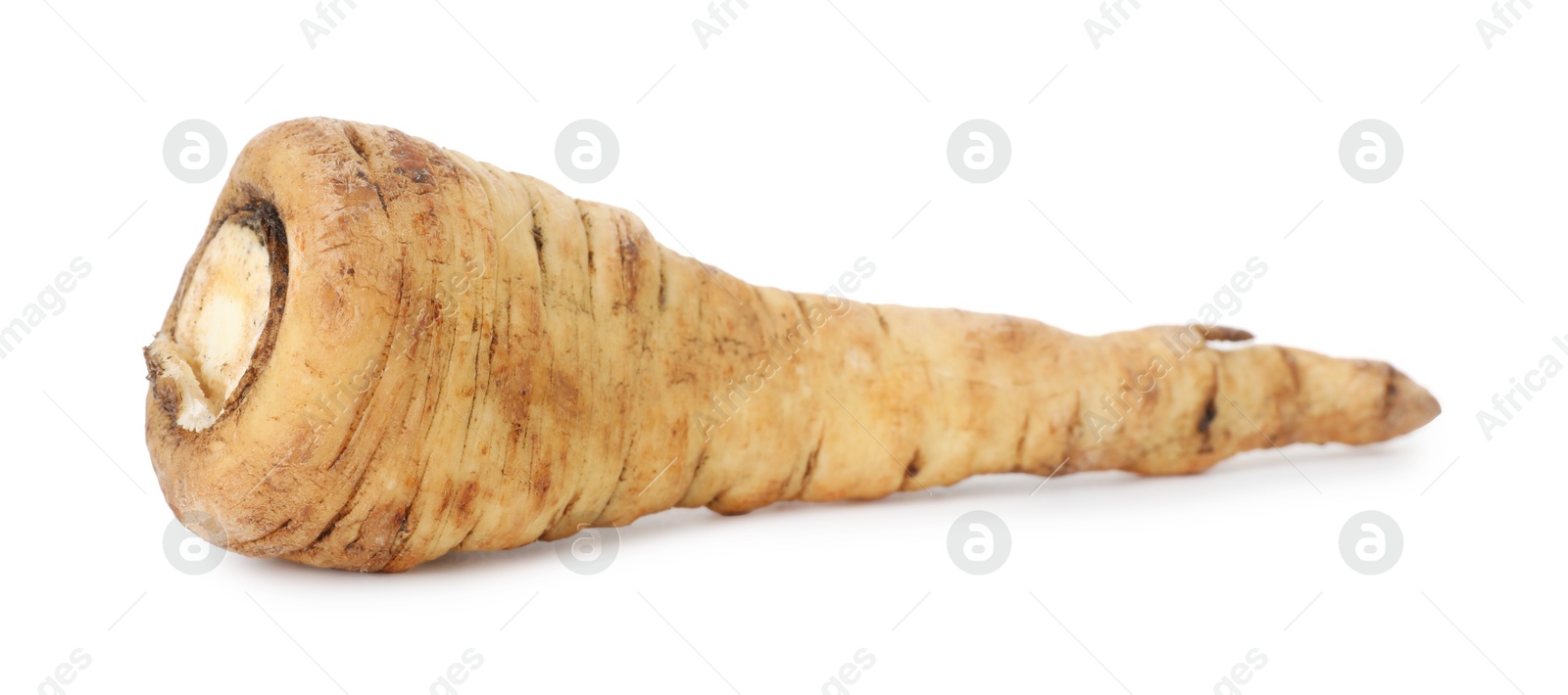 Photo of One fresh parsnip isolated on white. Root vegetable