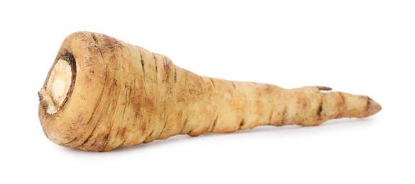 Photo of One fresh parsnip isolated on white. Root vegetable