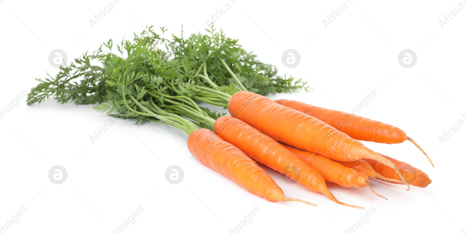 Photo of Fresh carrots isolated on white. Root vegetable