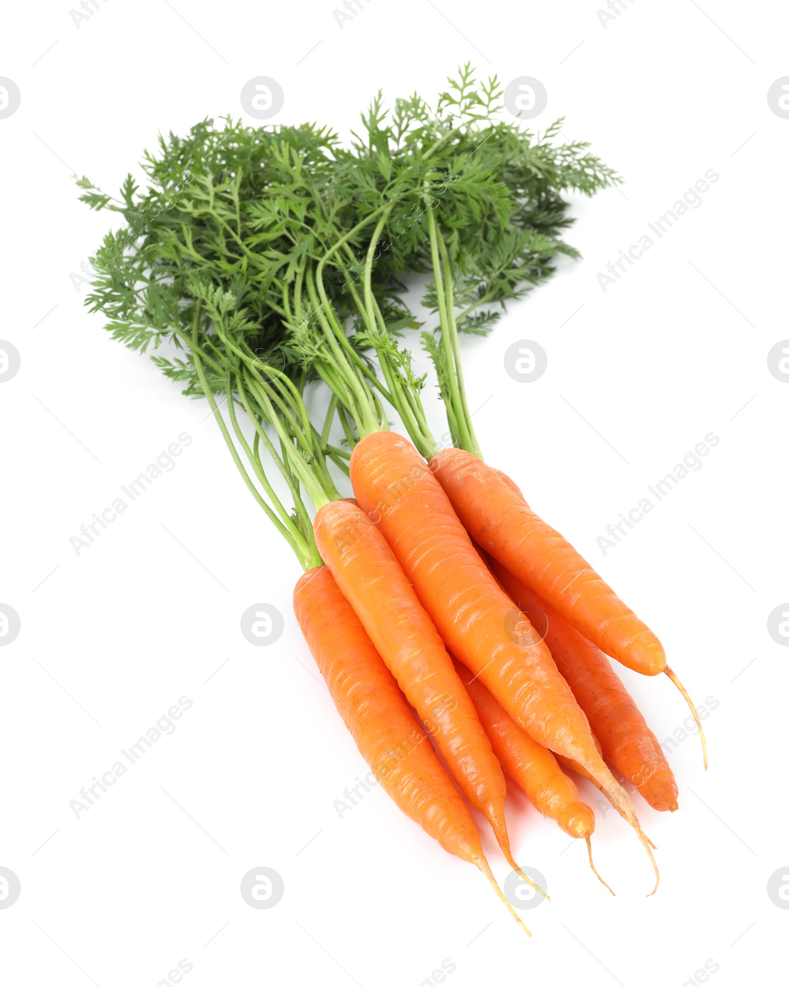 Photo of Fresh carrots isolated on white. Root vegetable