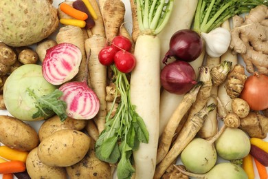 Photo of Many different root vegetables as background, top view