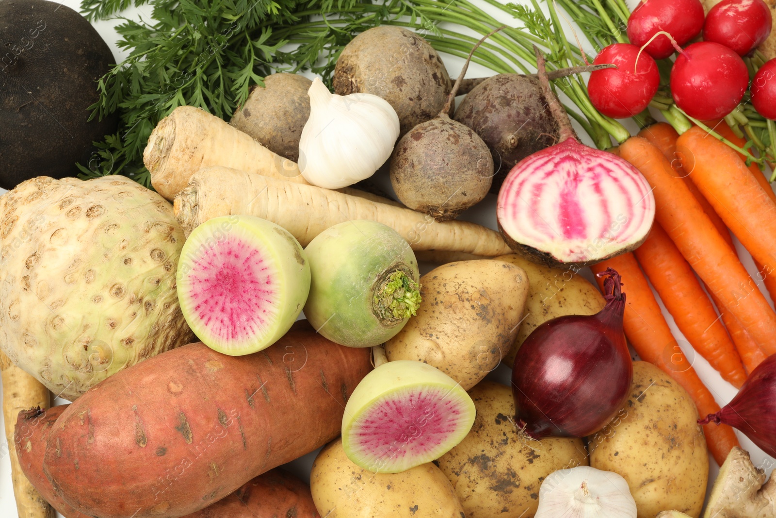 Photo of Many different root vegetables as background, top view