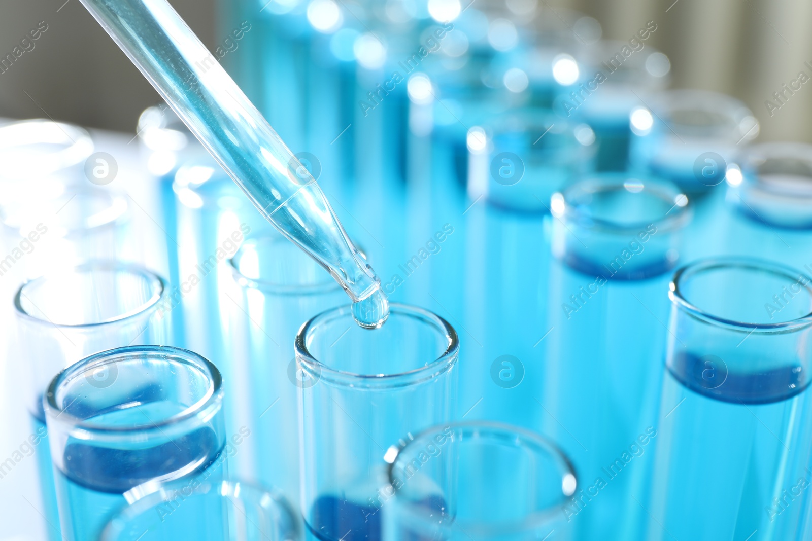 Photo of Dripping liquid into test tubes on light background, closeup