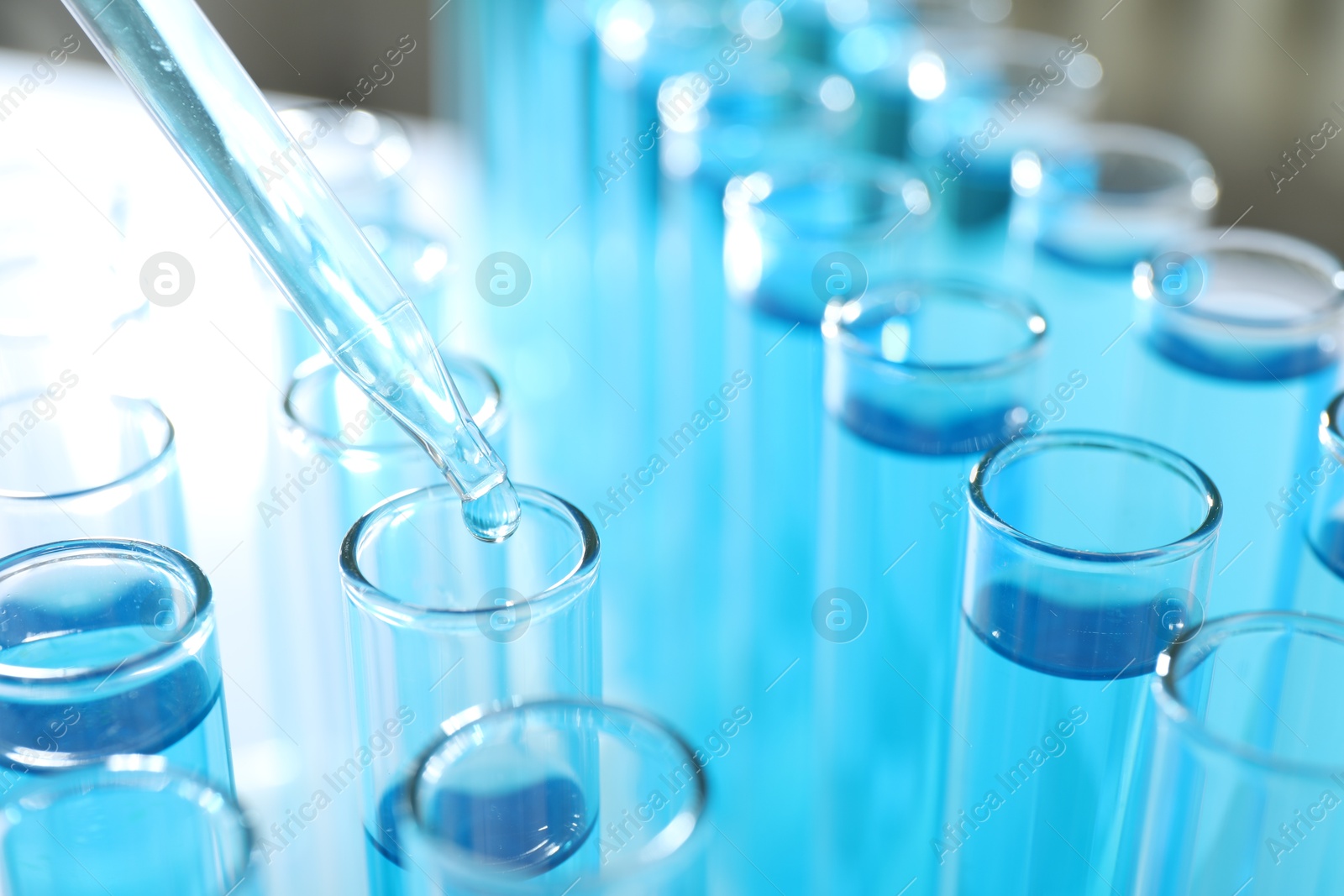 Photo of Dripping liquid into test tubes on light background, closeup