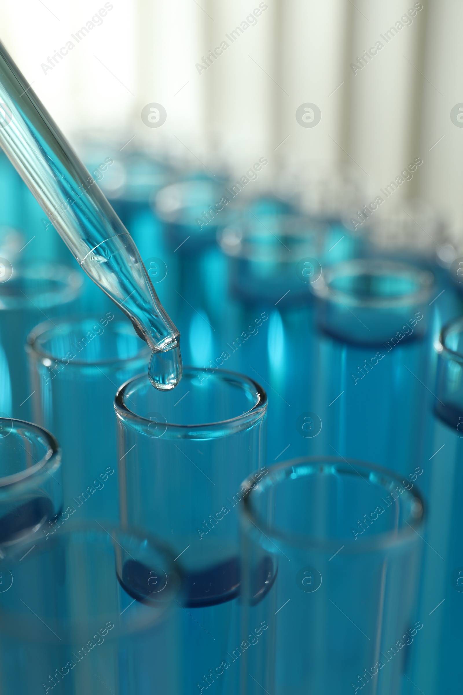 Photo of Dripping liquid into test tubes on light background, closeup