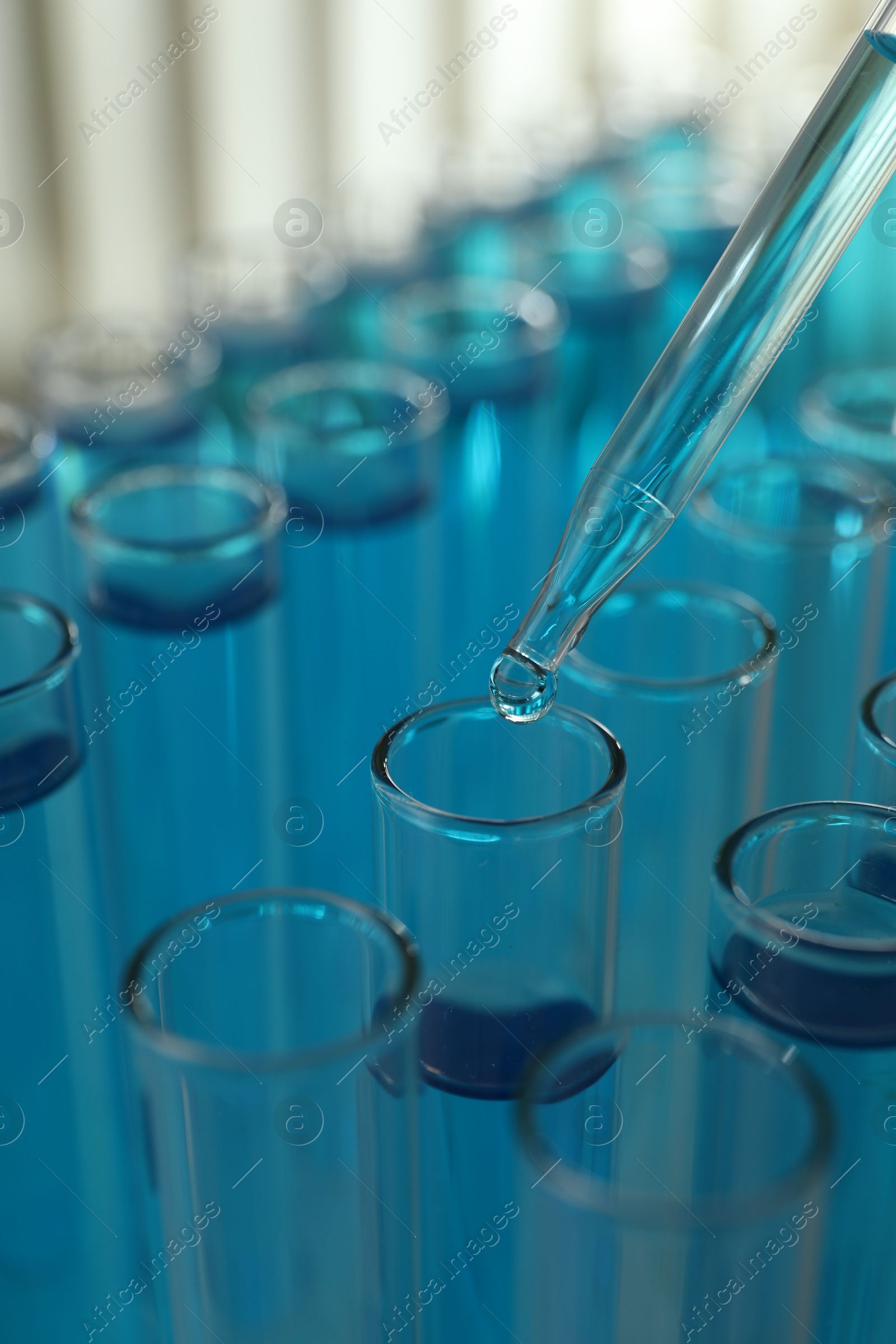 Photo of Dripping liquid into test tubes on light background, closeup